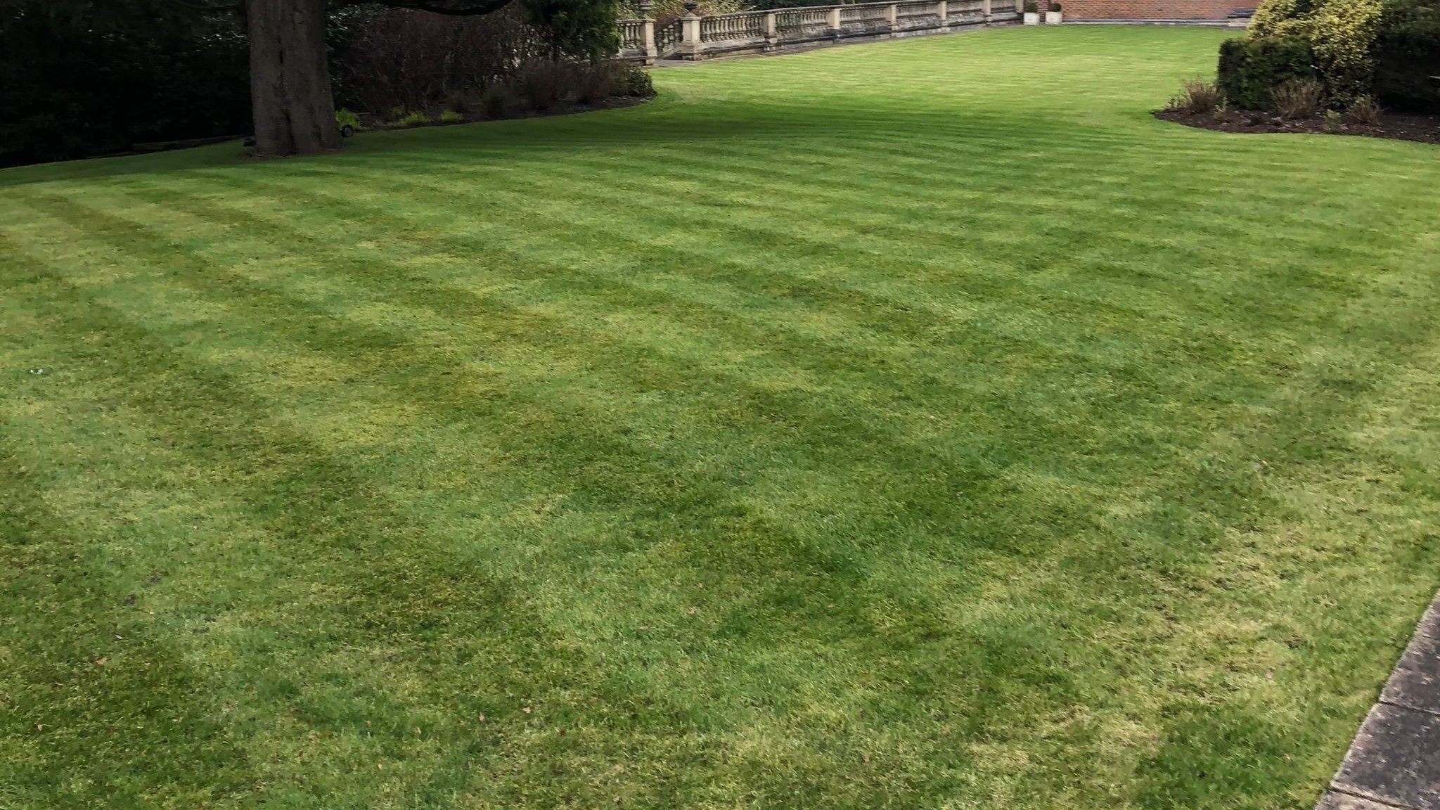 Lawn striping